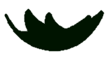 Feuille qui tombe